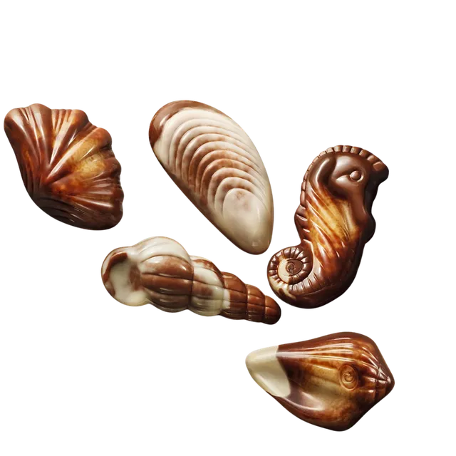 Sjokoladebutikken Sea Shells sjokolade 130 g belgisk hasselnøttnougat