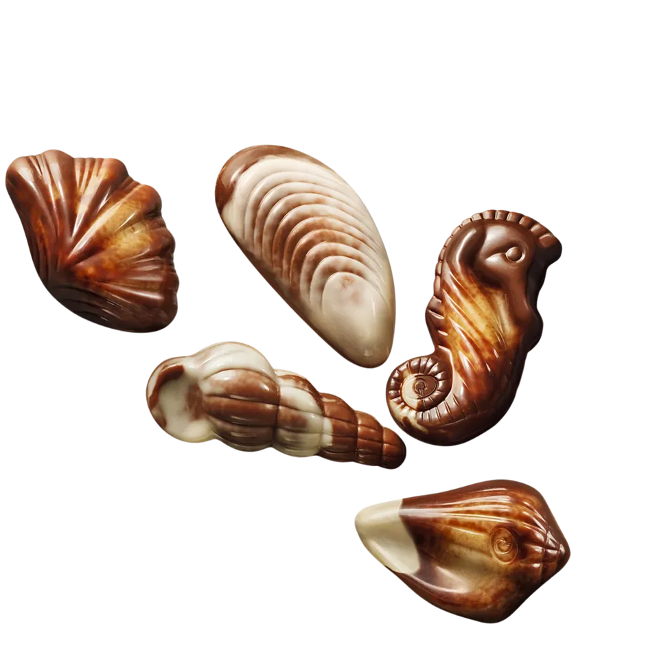 Sjokoladebutikken Sea Shells sjokolade 130 g belgisk hasselnøttnougat